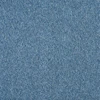 color chip