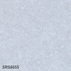 color chip