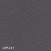 UP5013