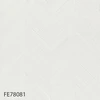 FE78081