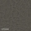 UP5444
