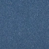 color chip