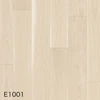 E1001