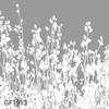 gf1913