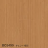 color chip