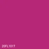 20FL1017