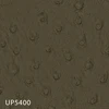 UP5400