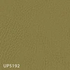 color chip
