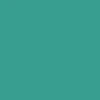 color chip
