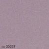 color chip
