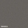 color chip