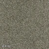 color chip