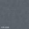 color chip