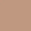 color chip