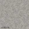 color chip
