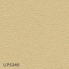 UP5049