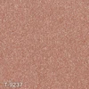 color chip