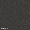 color chip