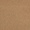 color chip
