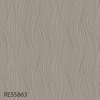 RE55863