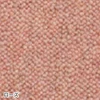 color chip