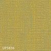 color chip