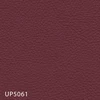 UP5061