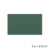 color chip