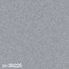 color chip