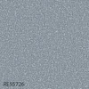 color chip