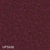 color chip