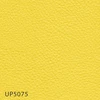 color chip