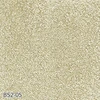 color chip