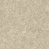 color chip
