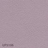 UP5106