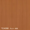 color chip