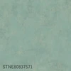 color chip