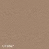 UP5067