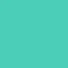 color chip