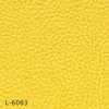 color chip