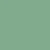 color chip