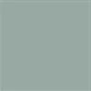 color chip