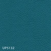 UP5132