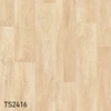 TS2416