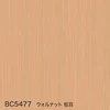 color chip
