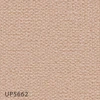color chip