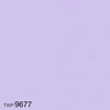 color chip