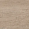 color chip