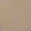 color chip