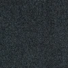 color chip